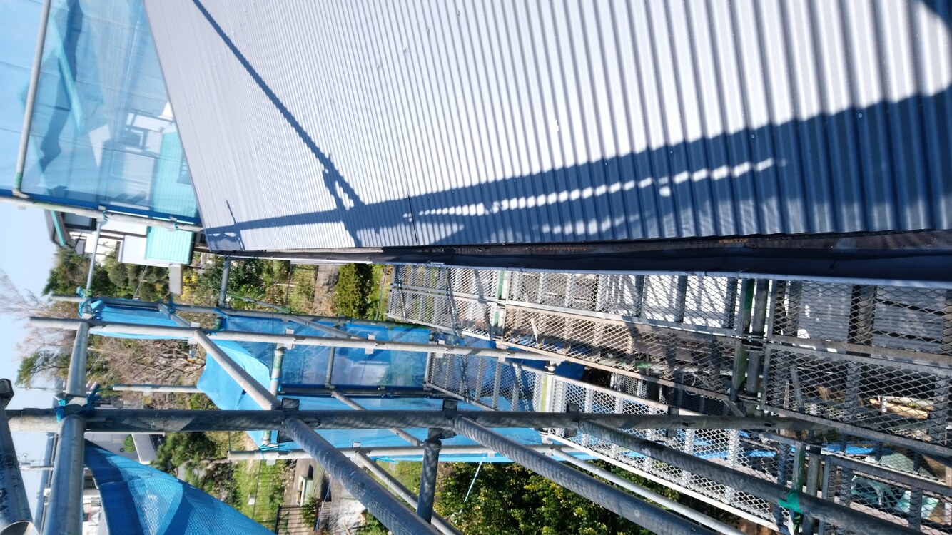 なまこ7